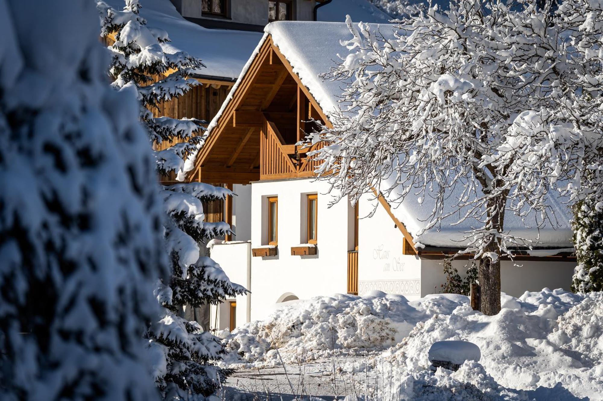 לאדיס Ferienhaus Am Burgsee מראה חיצוני תמונה
